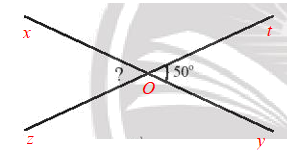 Sách bài tập Toán 7 Bài 1: Các góc ở vị trí đặc biệt - Chân trời sáng tạo (ảnh 1)