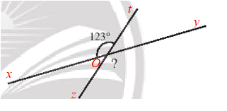 Sách bài tập Toán 7 Bài 1: Các góc ở vị trí đặc biệt - Chân trời sáng tạo (ảnh 1)