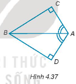 Sách bài tập Toán 7 Bài 15: Các trường hợp bằng nhau của tam giác vuông - Kết nối tri thức (ảnh 1)