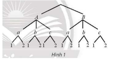 Có ba cái hộp, hộp thứ nhất chứa 2 quả cầu dán nhãn A, B; Hộp thứ hai chứa 3 quả cầu dán nhãn (ảnh 1)