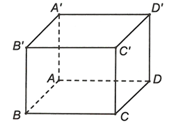 Mệnh đề nào sau đây sai? A. (BA'C') // (ACD') B. (ADD'A') // (BCC'B) C. (BA'D) // (CB'D') D. (ABA') // (CB'D') (ảnh 1)