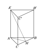Cho lăng trụ đứng ABC.A'B'C' có đáy ABC là tam giác đều cạnh 2a. Gọi (ảnh 1)