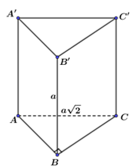 Cho khối lăng trụ đứng  ABC.A'B'C' có BB'=a , đáy ABC là tam giác vuông cân  (ảnh 2)