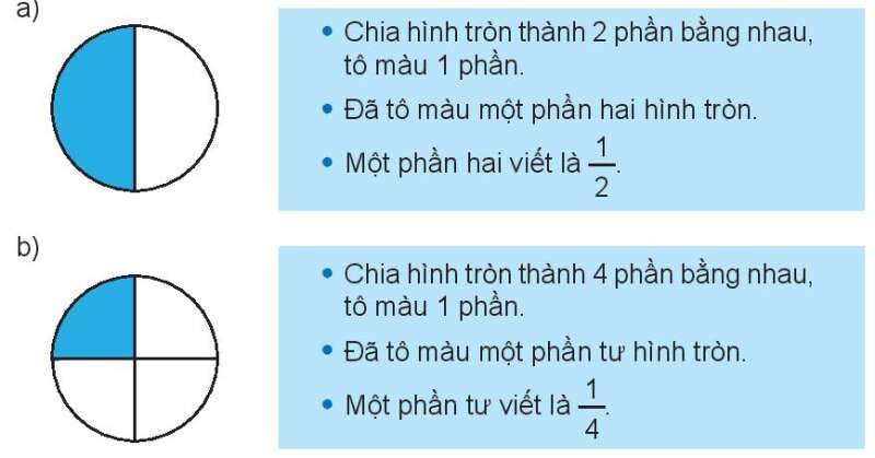 Lý thuyết Một phần mấy (Kết nối tri thức 2022) hay, chi tiết | Toán lớp 3 (ảnh 1)