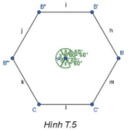 Hình lục giác ở hình T.5 có là lục giác đều không