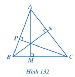 Giải Toán 7 Bài 13 (Cánh diều): Tính chất ba đường cao của tam giác (ảnh 1)