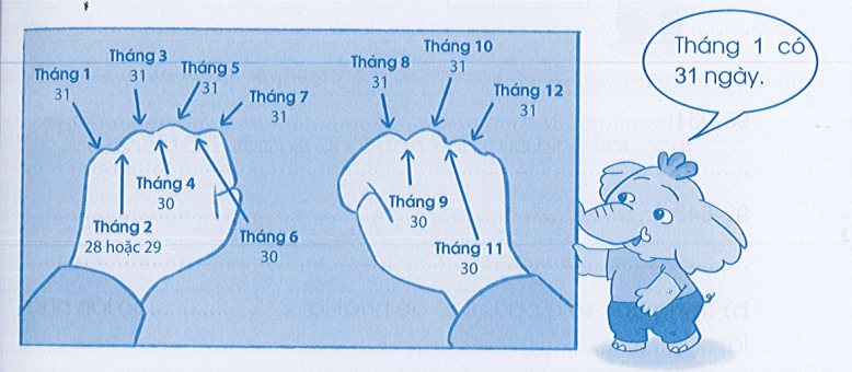 Vở bài tập Toán lớp 3 Cánh diều Tập 2 trang 42, 43 Bài 75: Tháng năm