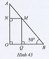 Sách bài tập Toán 7 Bài tập cuối chương 4 - Cánh diều (ảnh 1)