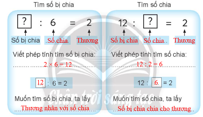 Vở bài tập Toán lớp 3 (Chân trời) Tập 1 trang 19 Bài 9: Tìm số bị chia, tìm số chia - Chân trời sáng tạo (ảnh 1)