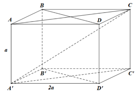 Cho hình hộp chữ nhật ABCD.A'B'C'D' có AB=AA'=a, AD=2a (ảnh 1)