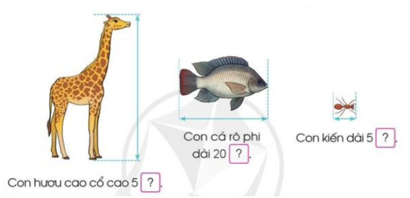 Chọn đơn vị đo độ dài (mm, cm, m) để đặt vào ô trống cho thích hợp (ảnh 1)