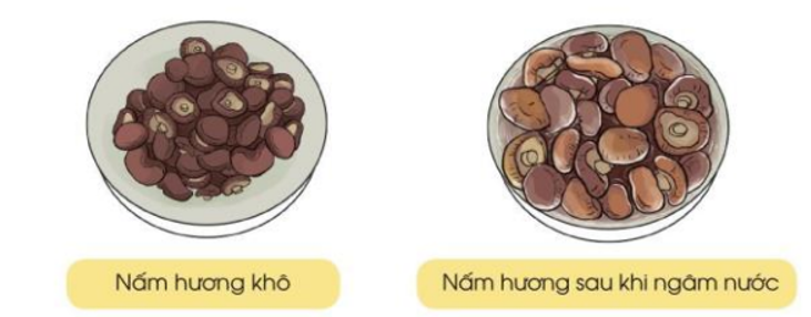 Có 120 g nấm hương khô, sau khi ngâm nước số nấm hương đó cân nặng 407 g. Hỏi sau khi ngâm nước lượng nấm hương đó nặng thêm bao nhiêu gam (ảnh 1)