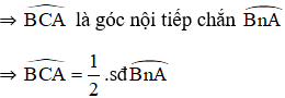 Giải bài 30 trang 79 SGK Toán 9 Tập 2 | Giải toán lớp 9