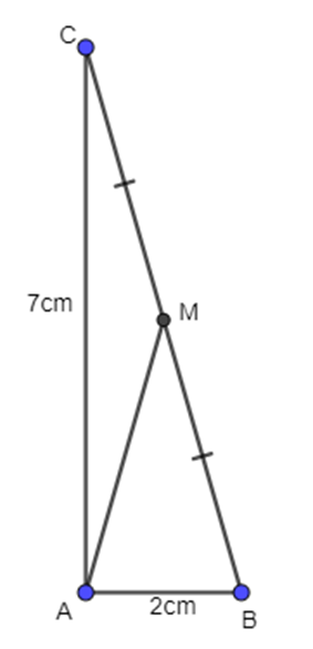 Cho tam giác ABC vuông tại A, có AB = 2cm, AC = 7cm. Điểm M  (ảnh 1)