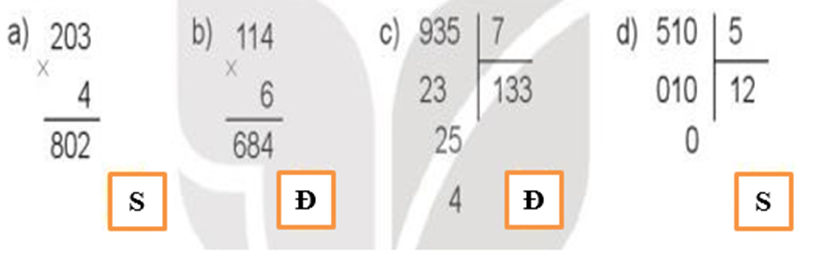 Đ, S? a) 203 x 4 = 802 b) 114 x 6 = 684 (ảnh 2)