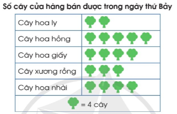 Trong ngày thứ Bảy:  Cửa hàng bán được những loại cây nào (ảnh 1)