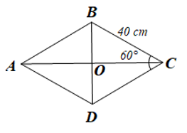 Một viên gạch trang trí có dạng hình thoi với độ dài cạnh là 40 cm và số đo một góc là 60° (Hình 63). Diện tích của viên gạch đó là bao nhiêu centimét vuông (làm tròn kết quả đến hàng phần trăm)?   (ảnh 2)