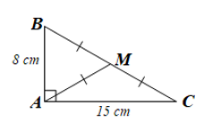 Cho tam giác ABC vuông tại A, đường trung tuyến AM. Biết AB = 8 cm; AC = 15 cm. Độ dài đoạn AM là  A. 8,5 cm.  B. 8 cm.  C. 7 cm.  D. 7,5 cm. (ảnh 1)