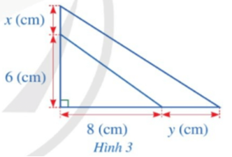 Toán 8 Bài 2 (Cánh diều): Các phép tính với đa thức nhiều biến (ảnh 1)