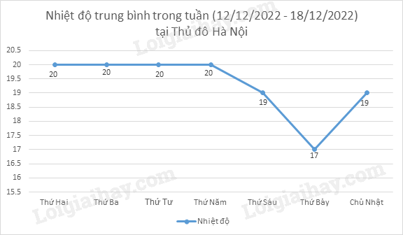  (ảnh 6)