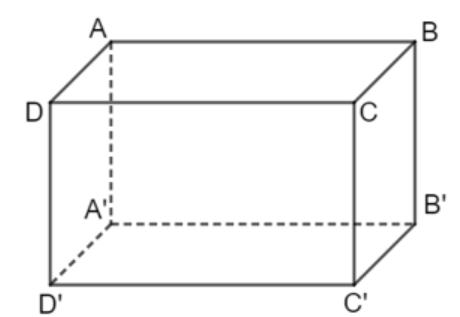 Cho hình lập phương ABCD. A’B’C’D’. Các cạnh bên của hình lập phương này là: A. BC, AD, B’A, D’A; B. AA’, BB’, D’D, C’C; (ảnh 1)