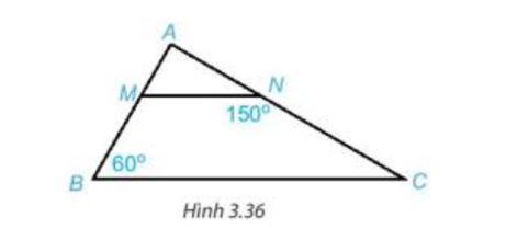 1. Cho Hình 3.36, biết MN // BC (ảnh 1)