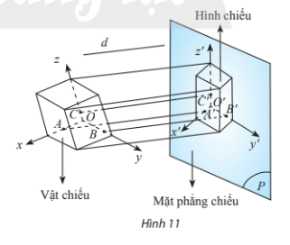 Bài 5 trang 126 Toán 11 Tập 1 Chân trời sáng tạo | Giải Toán 11