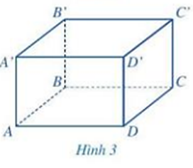 Hoạt động 2 trang 76 Sách giáo khoa Toán lớp 7 Tập 1: Quan sát hình hộp chữ nhật ở  (ảnh 1)