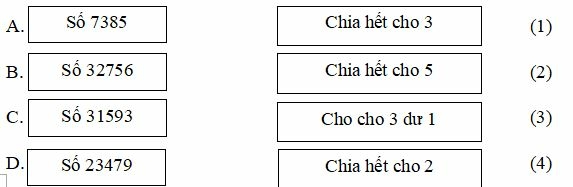 Bài tập cuối tuần Toán lớp 4 Chân trời sáng tạo Tuần 18 (ảnh 1)