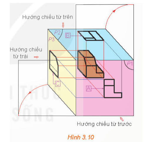 Vận dụng 1 trang 56 Chuyên đề Toán 11