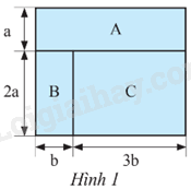 Sách bài tập Toán 8 Bài 1 (Chân trời sáng tạo): Đơn thức và đa thức nhiều biến (ảnh 1)