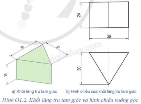  (ảnh 2)