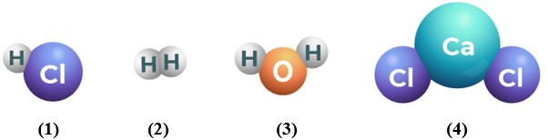 TOP 10 câu Trắc nghiệm Phân tử - Đơn chất – Hợp chất có đáp án - Khoa học tự nhiên lớp 7 Chân trời sáng tạo (ảnh 1)