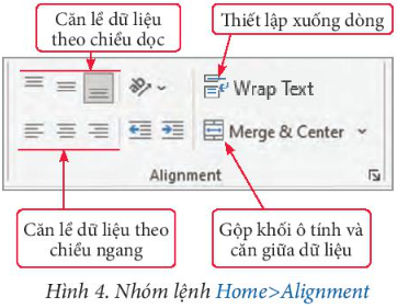 Tin học 7 Bài 9: Định dạng trang tính, chèn thêm và xóa hàng, cột | Chân trời sáng tạo (ảnh 3)