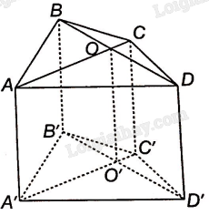 Sách bài tập Toán 11 Bài 14 (Kết nối tri thức): Phép chiếu song song (ảnh 2)