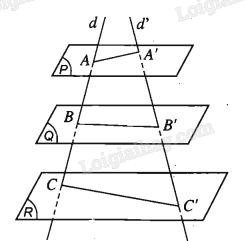 Sách bài tập Toán 11 (Kết nối tri thức) Bài tập cuối chương 4 trang 72 (ảnh 1)