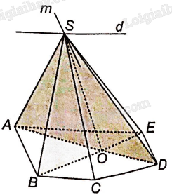 Sách bài tập Toán 11 (Kết nối tri thức) Bài tập cuối chương 4 trang 72 (ảnh 5)