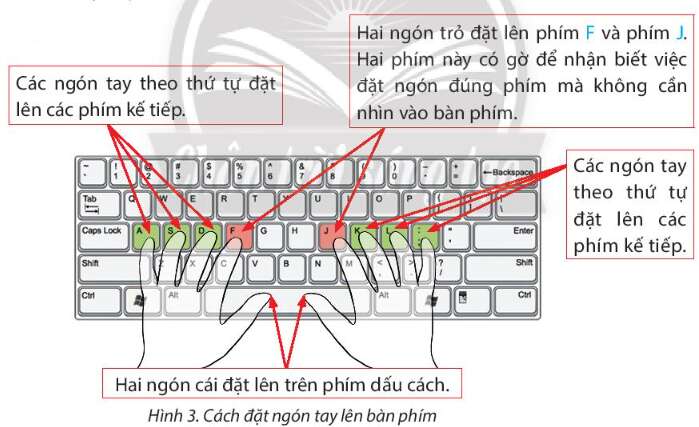 Tin học lớp 3 trang 24, 25, 26, 27, 28, 29 Bài 5: Tập gõ bàn phím | Chân trời sáng tạo (ảnh 6)