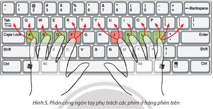 Tin học lớp 3 trang 24, 25, 26, 27, 28, 29 Bài 5: Tập gõ bàn phím | Chân trời sáng tạo (ảnh 4)