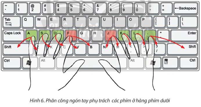 Tin học lớp 3 trang 24, 25, 26, 27, 28, 29 Bài 5: Tập gõ bàn phím | Chân trời sáng tạo (ảnh 3)