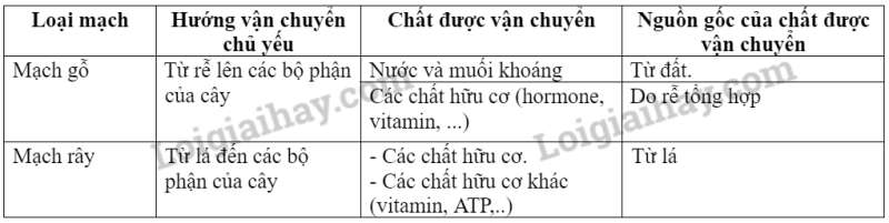 Khoa học tự nhiên 7 Bài 30: Trao đổi nước và chất dinh dưỡng ở thực vật | KHTN 7 Kết nối tri thức (ảnh 3)