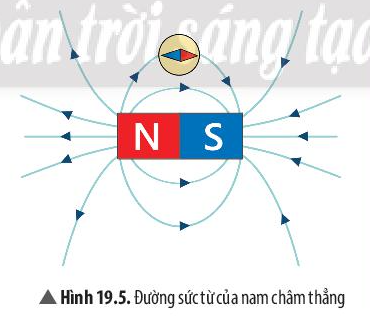 Khoa học tự nhiên 7 Bài 19: Từ trường | KHTN 7 Chân trời sáng tạo (ảnh 3)