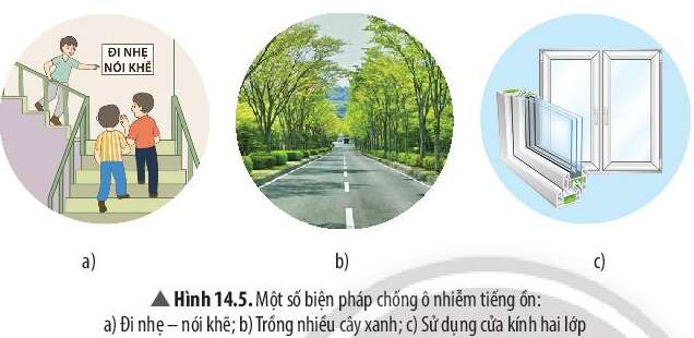 Khoa học tự nhiên 7 Bài 14: Phản xạ âm | KHTN 7 Chân trời sáng tạo (ảnh 6)