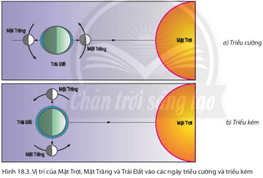 Bài 18. Biến và đại dương