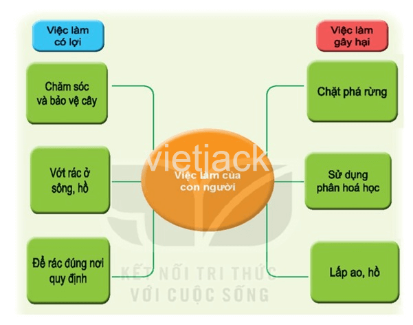 Bài 18: Cần làm gì để bảo vệ môi trường sống của thực vật và động vật