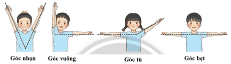 Vở bài tập Toán lớp 4 (Chân trời) Chân trời sáng tạo Bài 30: Đo góc - Góc nhọn, góc tù, góc bẹt