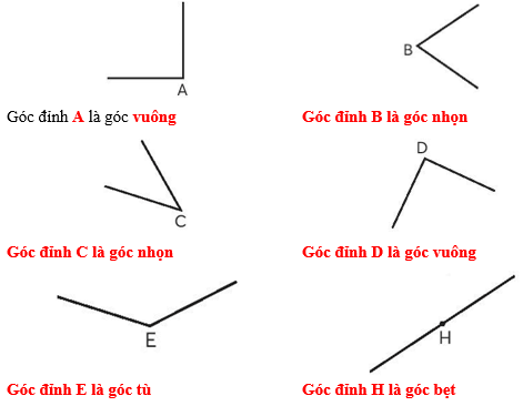 Vở bài tập Toán lớp 4 (Chân trời) Chân trời sáng tạo Bài 30: Đo góc - Góc nhọn, góc tù, góc bẹt