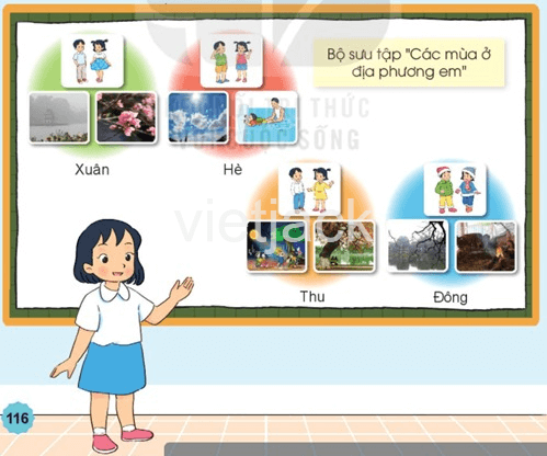 Bài 31: Ôn tập chủ đề trái đất và bầu trời - Hay nhất Kết nối tri thức với cuộc sống