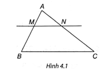 Quan sát Hình 4.1 biết MN song song BC. Tỉ số AM/MB bằng