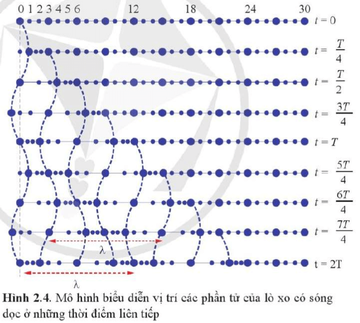 Hãy chỉ ra hướng chuyển động của phần tử số 6 ở thời điểm T/4, phần tử số 12 ở thời điểm 5T/4